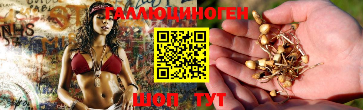 Псилоцибиновые грибы GOLDEN TEACHER Назарово